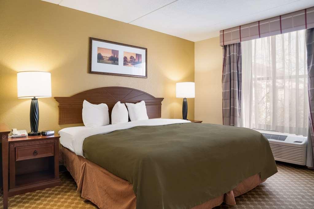 Quality Inn & Suites Saginaw Quarto foto